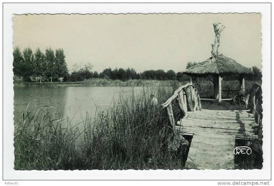 AUBIGNY - L'étang De Pêche - Aubigny Sur Nere