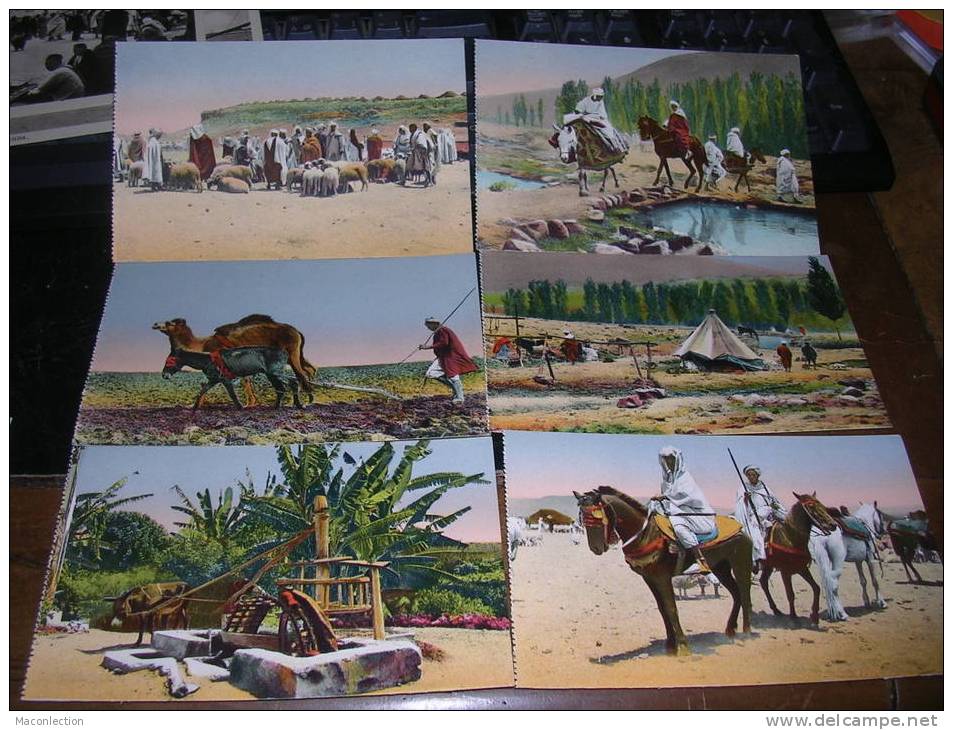 6 Carte De Scenes Agricoles Berger Et Troupeau De Moutons Labour Chameau AneNoria Campement Cavalier - Métiers