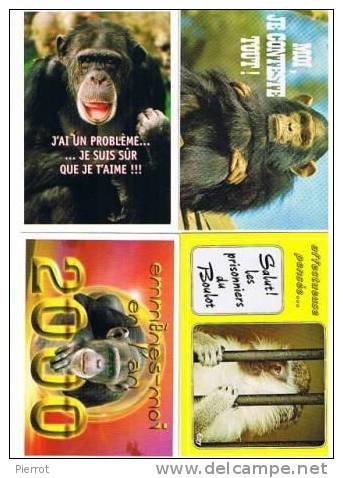 271107A : Lot De 4 CPM : Singes Lot NU. 2 - Monkeys