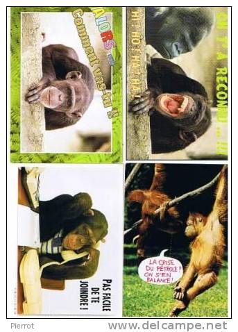 271107A : Lot De 4 CPM : Singes Lot NU. 6 - Monkeys