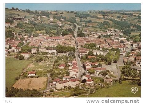 Cpc 1286 - REALMONT - Vue Générale (81 - Tarn) - Realmont