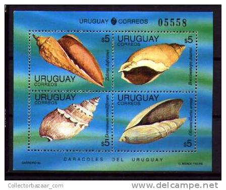 URUGUAY STAMP MNH Marine Life Seashell - Muscheln