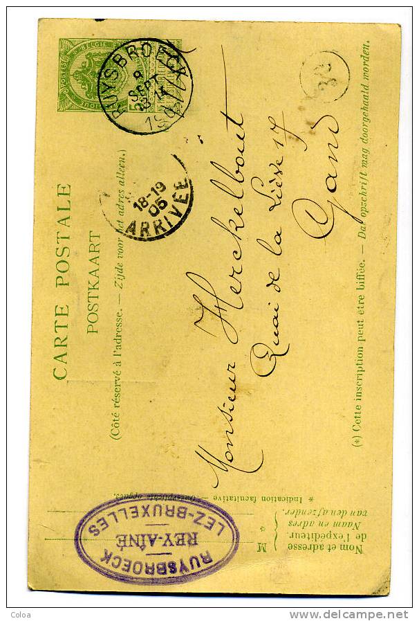 Carte Non Illustrée Belgique 1905 - Cartes Postales 1871-1909