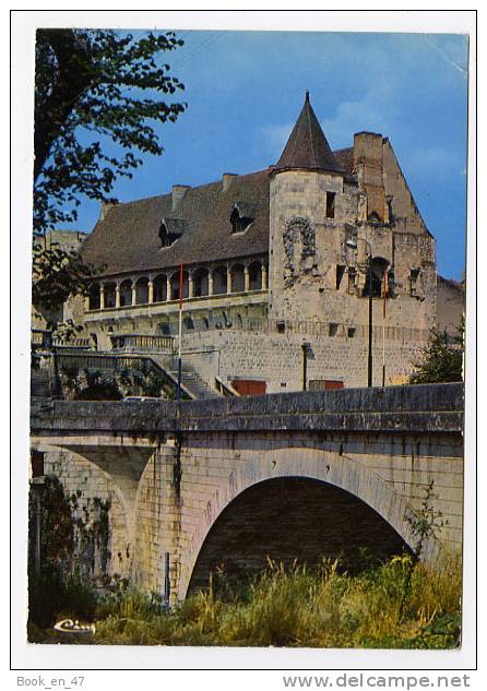 {20039} 47 Lot Et Garonne Nérac , Le Château ; Au 1er Plan Pont Sur La Baïse - Nerac