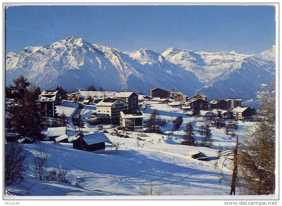 CH----Valais--Station De Haute Nendaz Avec Les Alpes Bernoises ,cm N°13141 éd Darbellay - Nendaz