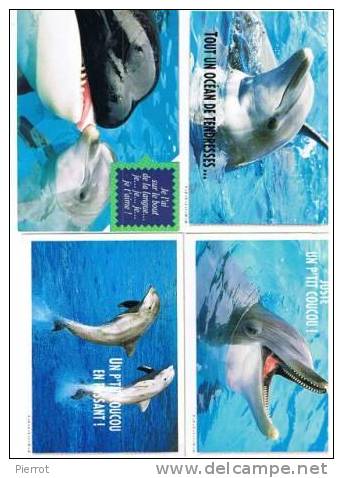 291107 Lot De 4 CPM : Beaux Dauphins - Dauphins