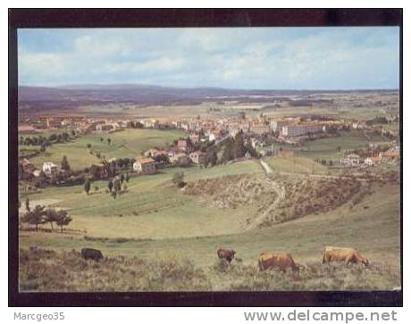 22806 Saugues Vue Générale   édit.artaud N° 2 Belle Cpsm - Saugues