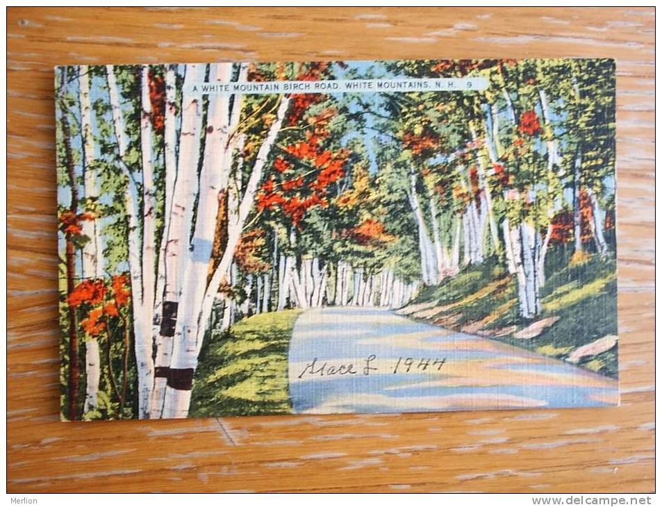 White Mountains Birch Road NH Ca 1940´s    VF  D10081 - White Mountains