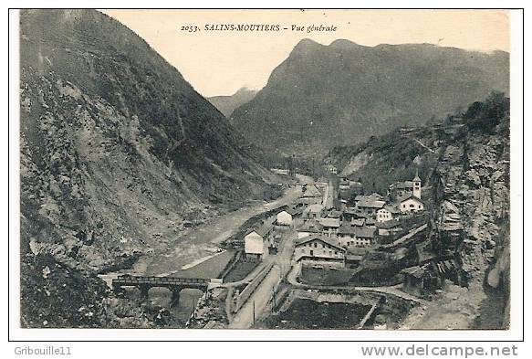 SALINS - MOUYIERS  -  ** VUE GENERALE **  -  Editeur : F. DE .MIGIEU   N°2053 - Moutiers