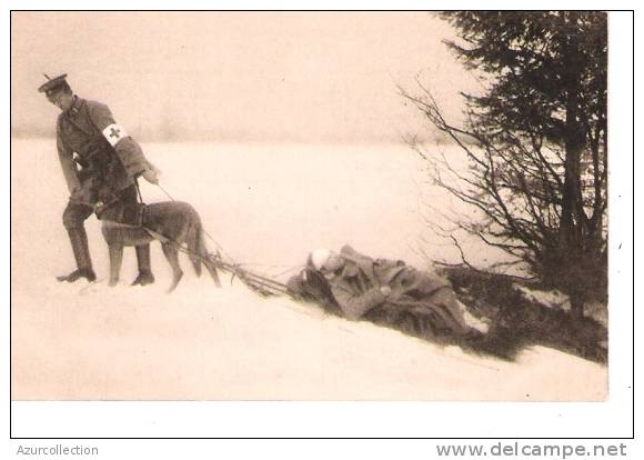 CHIENS SANITAIRES DE LA CROIX ROUGE ALLEMANDE 1914/18 - Croix-Rouge