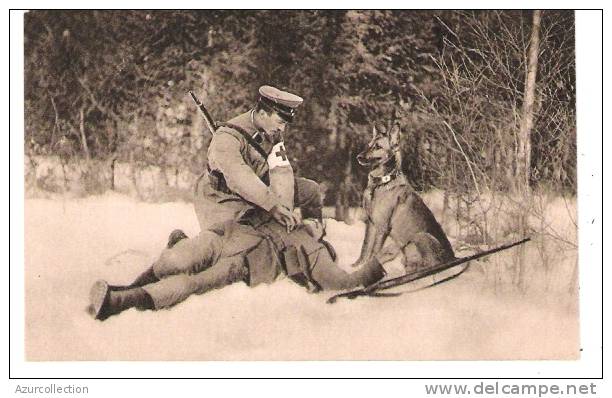 CHIENS SANITAIRES DE LA CROIX ROUGE ALLEMANDE 1914/18 - Red Cross