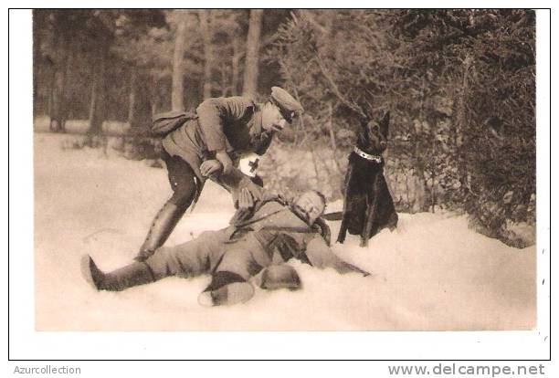 CHIENS SANITAIRES DE LA CROIX ROUGE ALLEMANDE 1914/18 - Rotes Kreuz
