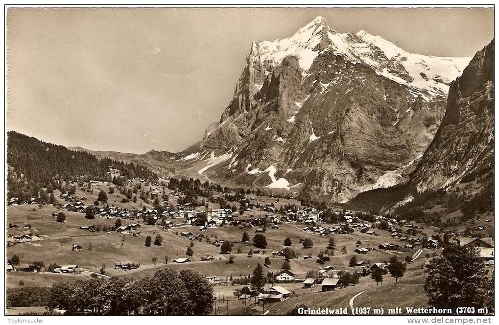 Grindelwald - Grindelwald