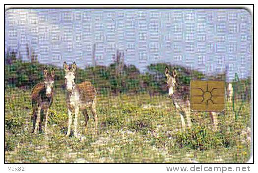 BONAIRE / BON 13 - Antillen (Niederländische)