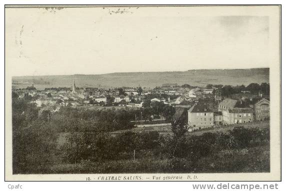 CPA CHATEAU SALINS - VUE GENERALE - Chateau Salins