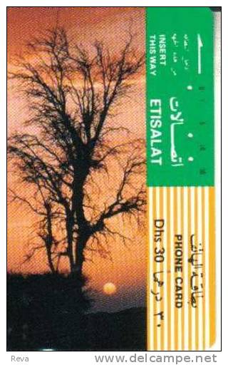 UNITED ARAB EMIRATES  30DH  SUNSET  & TREE  TAMURA SPECIAL PRICE !! READ DESCRIPTION !! - United Arab Emirates
