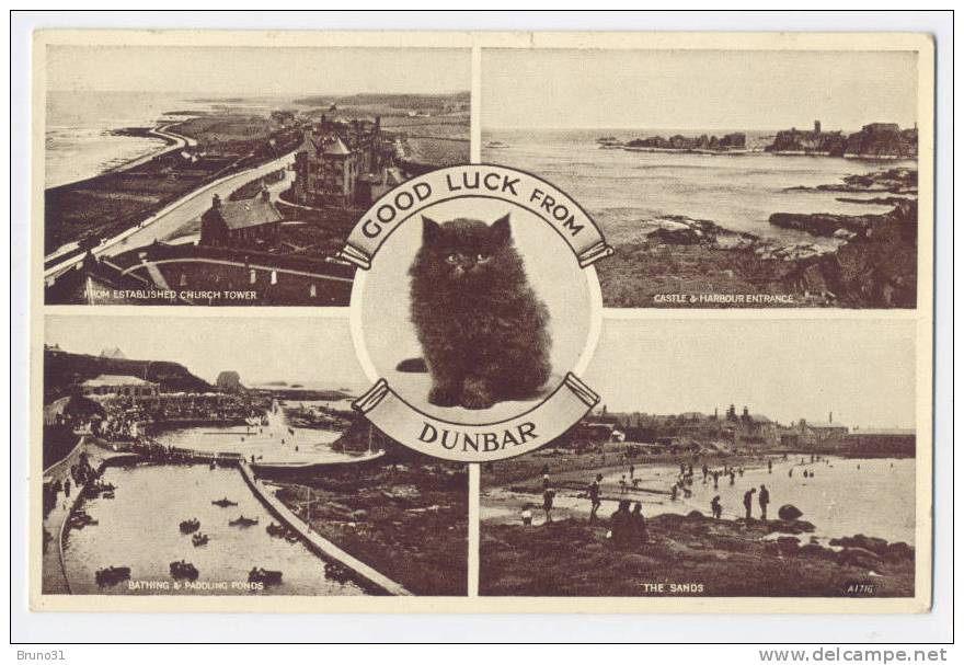 DUNBAR : 4 Views With Cat And Olympic Games Stamp Of 1948 . - East Lothian