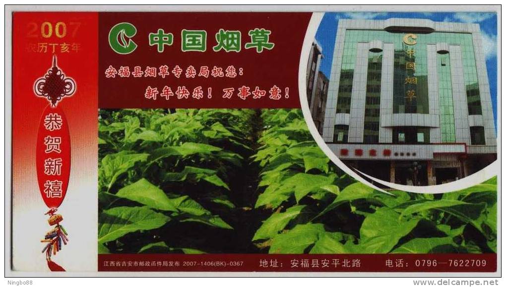 Tobacco Field,cigarette,China 2007 Anfu Tobacco Monopoly Administration Advertising Postal Stationery Card - Tabak