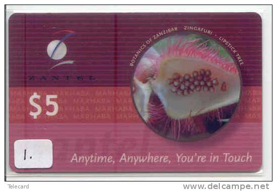 Telecarte ZANZIBAR (1) ZANTEL BOTANICS OF ZANZIBAR - LIPSTICK TREE PHONECARD - Tansania