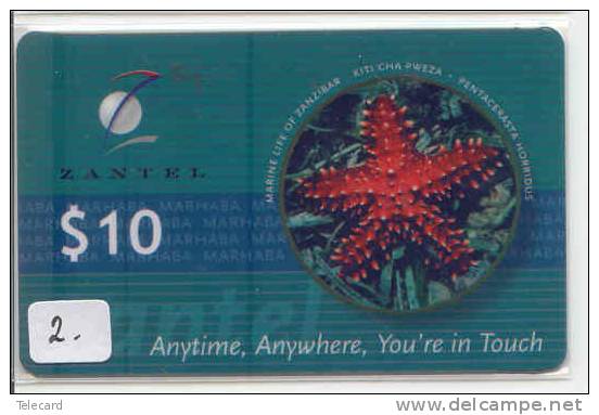 Telecarte ZANZIBAR (2) ZANTEL MARINE LIFE OF ZANZIBAR - STARFISH - PENTACERASTA HORRIDUS - PHONECARD - Tanzanie