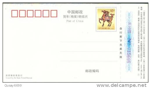 Mini Bus, Pigeon Bird ,  Pre-stamped Postcard, Postal Stationery - Bus