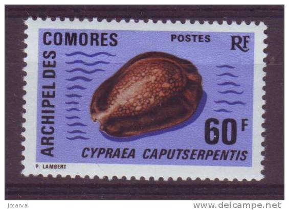 Comores N°21 ** Coquillage Cypraea - Autres & Non Classés