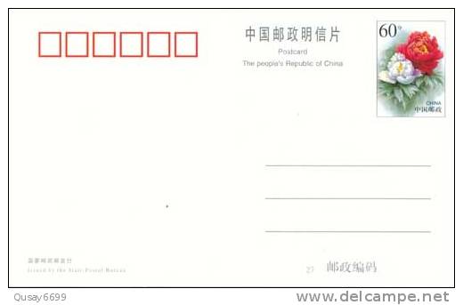 Table Tennis, Tennis Tavolo  ,  Pre-stamped Postcard, Postal Stationery - Tischtennis