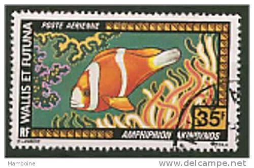 Wallis Et Futuna . POISSON.  Aerien N° 77  Oblitere - Usados