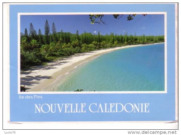 NOUVELLE CALEDONIE -   Ile Des Pins -   N° 490 - Nouvelle Calédonie
