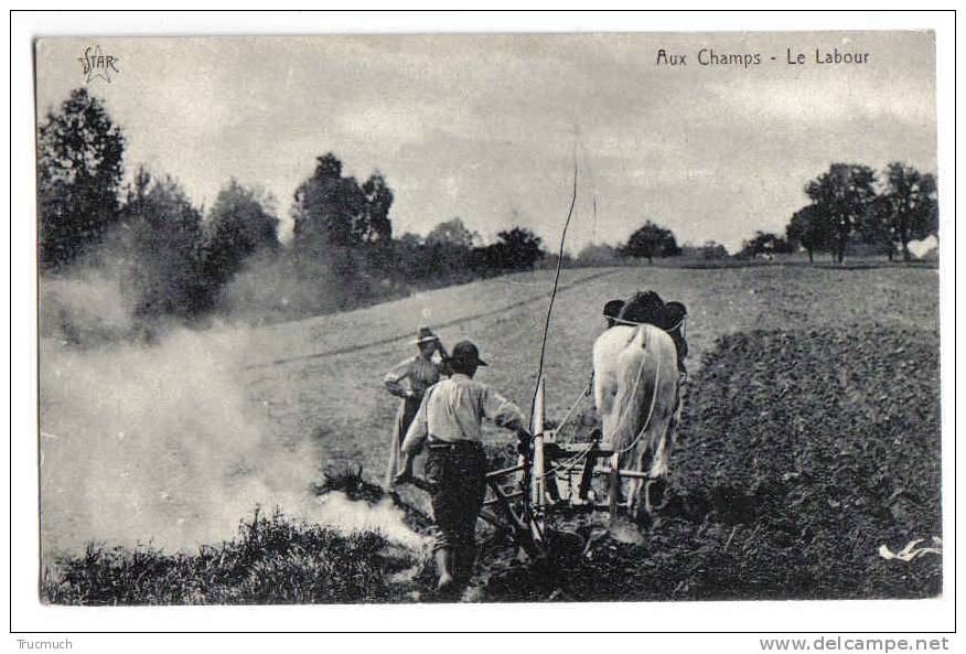 C1952 - Aux Champs - Le Labour - Cultivation