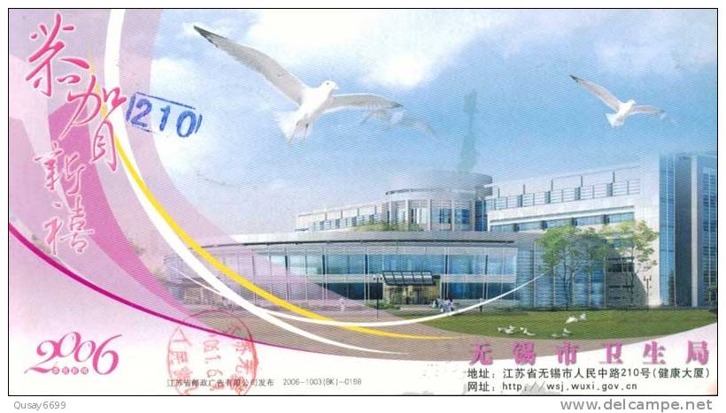 Building Seagull,   Bird ,  Pre-stamped Postcard, Postal Stationery - Gabbiani