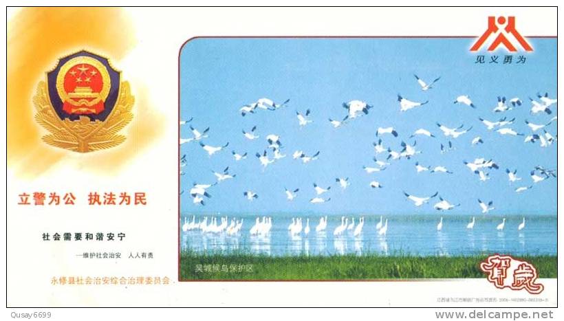 Crane Bird ,  Pre-stamped Postcard, Postal Stationery - Grues Et Gruiformes