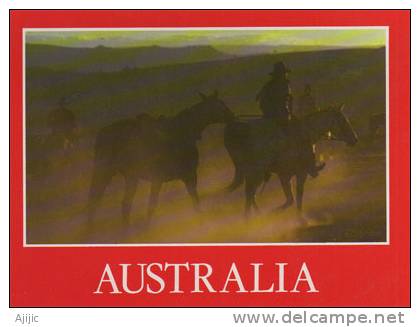 Australian Cowboys A L´aurore  Une Cp Neuve - Alice Springs