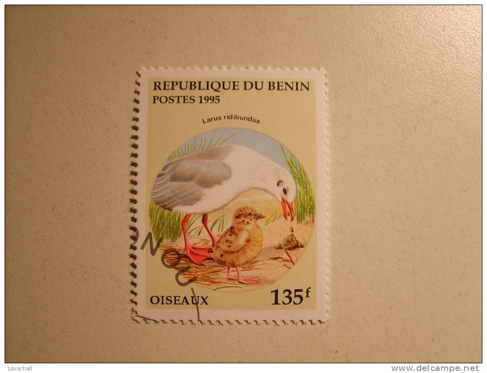 Benin. 1995 - Gaviotas