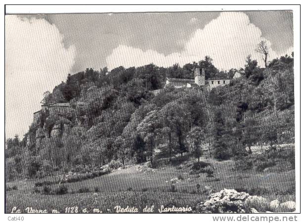 CARTOLINA-VERNA "VEDUTA DEL SANTUARIO - Arezzo