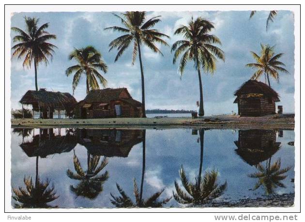 TAHITI Paysage De Tuamutu Atoll De Ana    (7A1764) - Polynésie Française