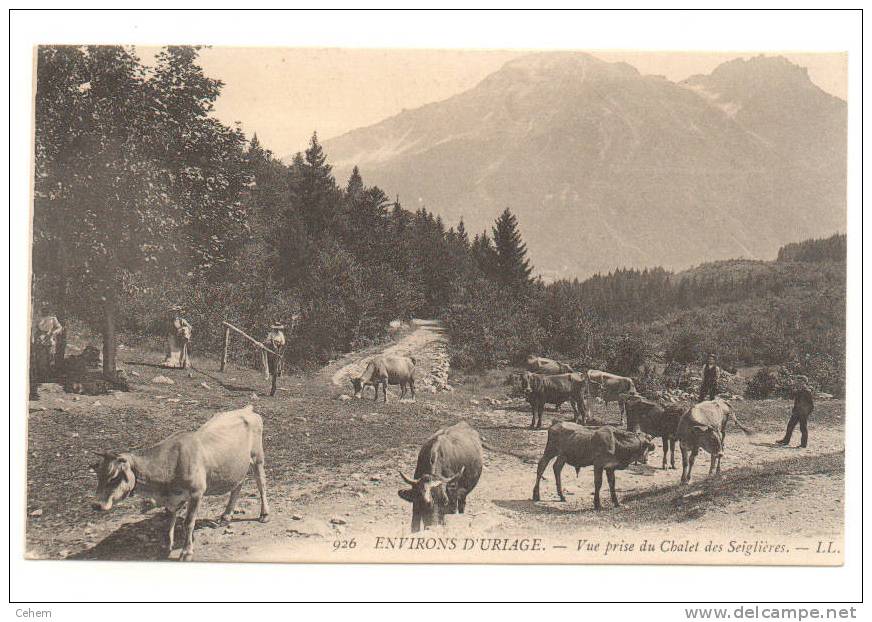 38 URIAGE ENVIRONS TROUPEAU DE VACHES VUE PRISE DU CHALET DES SEIGLIERES ISERE - Uriage