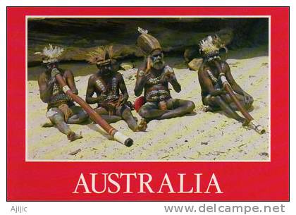 Australie. Aboriginal Corroboree Avec Didgeridoos . Une C-p Neuve - Aborigènes