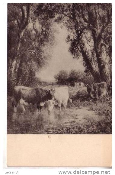 Old Cow Postcard - Carte Ancienne De Vache - Tauri