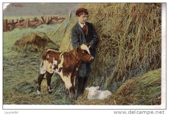 Old Cow Postcard - Carte Ancienne De Veau Et Enfant - Bull