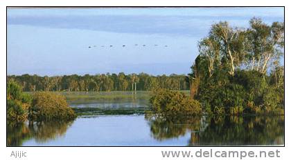 Wild Australia Billabong Viewfolder (magnifique Folder Neuf)  Photos Steve Parish - Autres & Non Classés