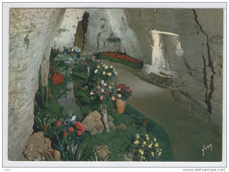 DOUE LA FONTAINE. DANS LES GROTTES DES ARENES. JOURNEES DE LA ROSE - Doue La Fontaine