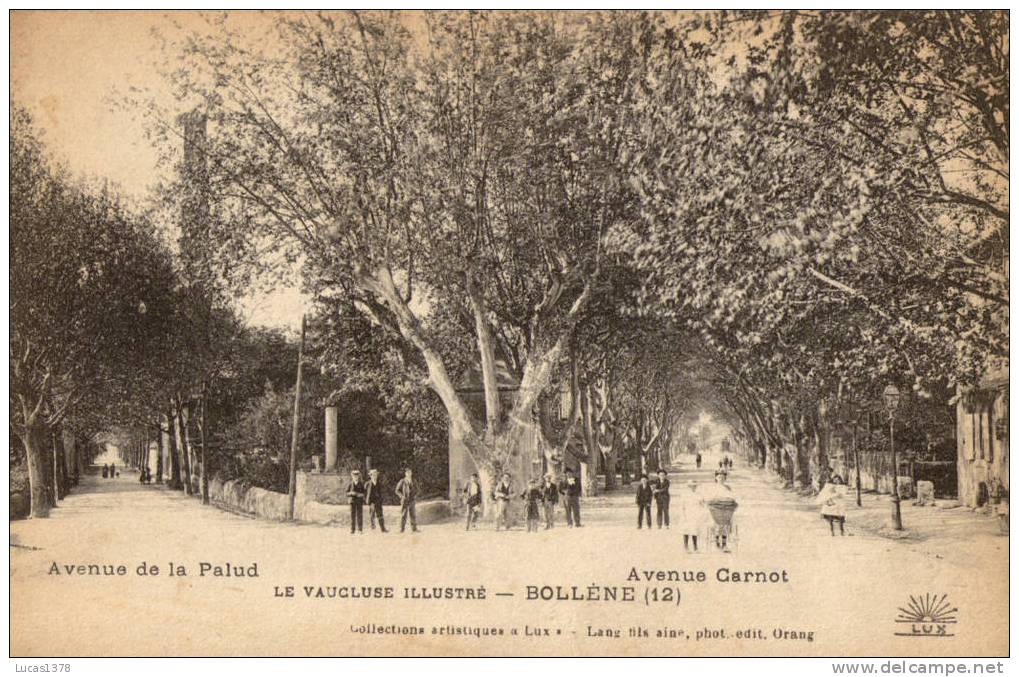 84 / BOLLENE / AVENUE CARNOT / AVENUE DE LA PALUD /  RARE ET TRES BELLE CARTE / CLIQUEZ SUR L IMAGE - Bollene