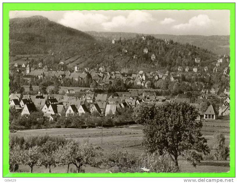 HERSBRUCK - MIT MICHELSBERG - - Hersbruck