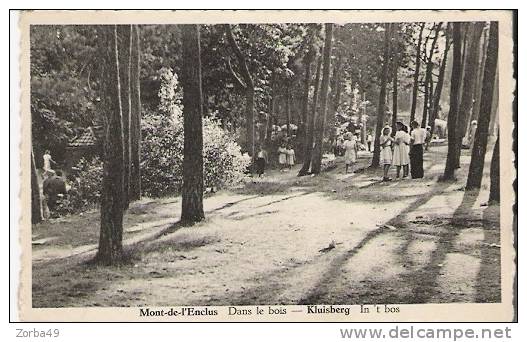 MONT DE L ENCLUS KLUISBERG ANIMEE - Kluisbergen