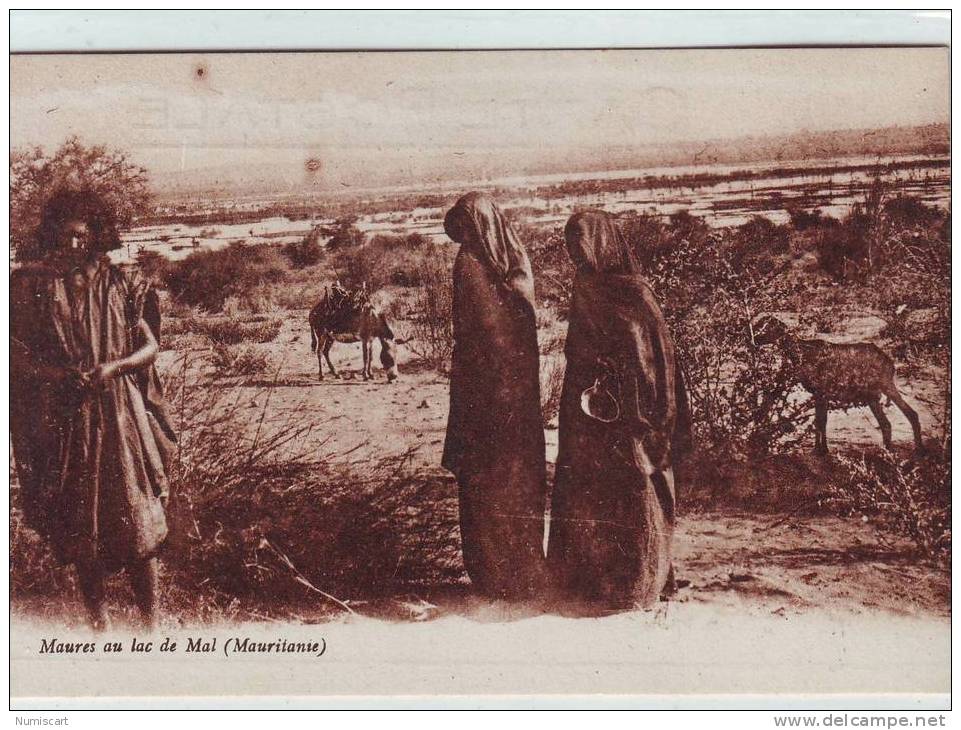 SUPERBE CPA..DE..MAURITANIE..TRES ANIMEE..BELLE VUE DE MAURES AU LAC DE MAL.. - Mauritanie