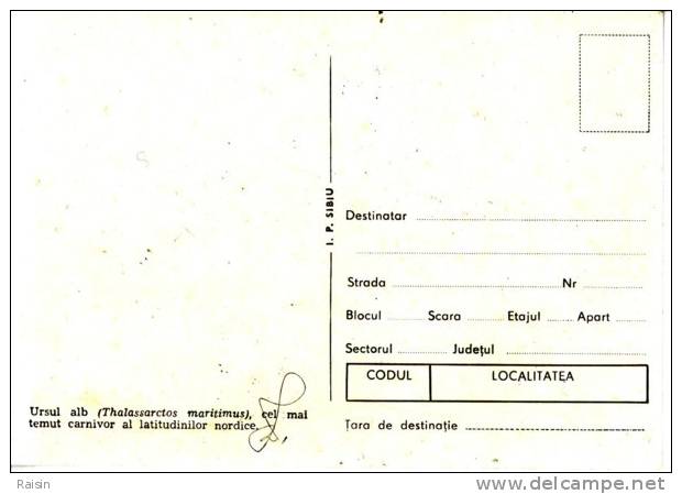 CM  Ours Blanc  Expédition Groenlanda  1927-28  TBE  1990 - Otros & Sin Clasificación