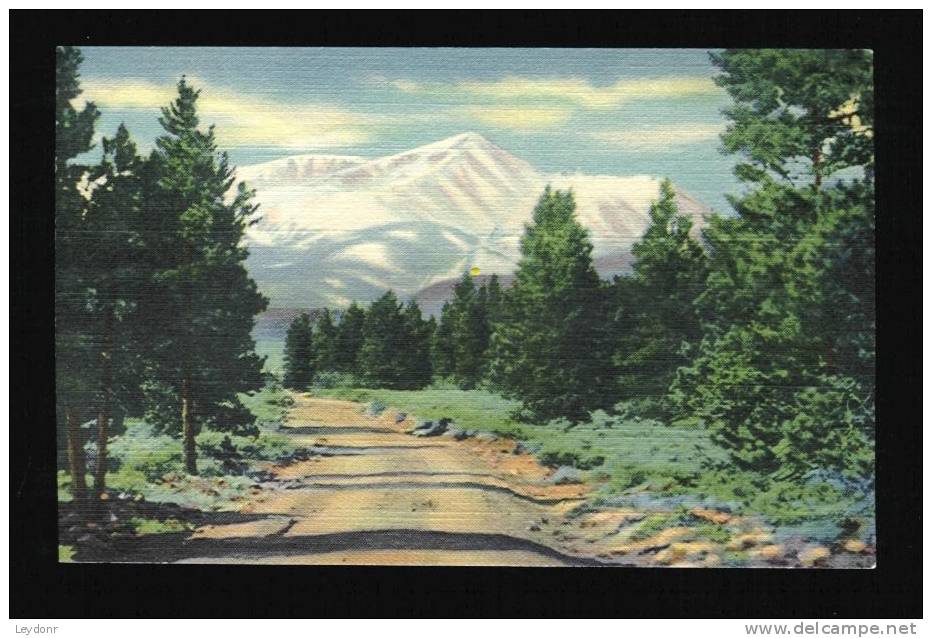 MT. Elbert Elev. 14,420 FT. Highest Peak In Colorado, Near Leadville, Colorado - Other & Unclassified