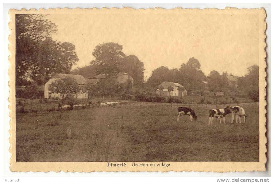 C2334 - LIMERLE - Un Coin Du Village - Gouvy