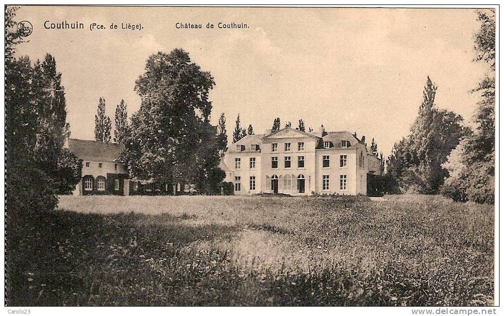 COUTHUIN  :  CHATEAU DE COUTHUIN - Héron